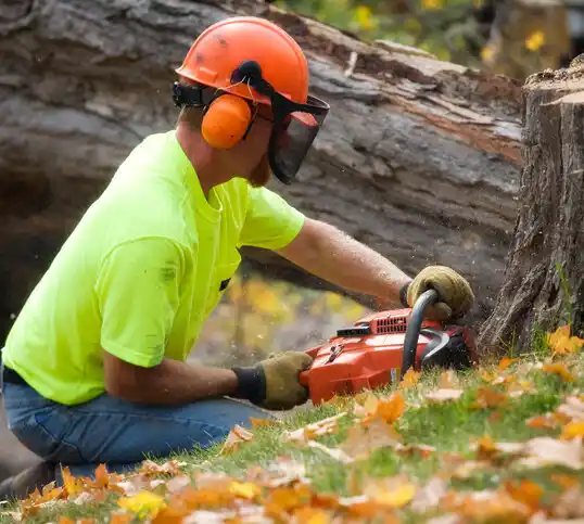 tree services Black Mountain